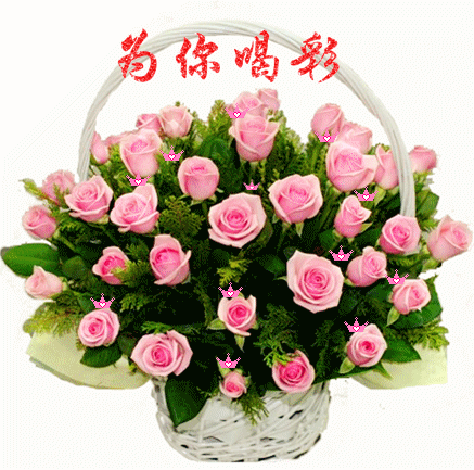 437_433gif 动态图 动图