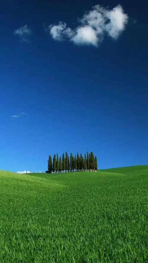 迷人的大草原风光,锁屏图片,高清手机壁纸,风景-回车桌面
