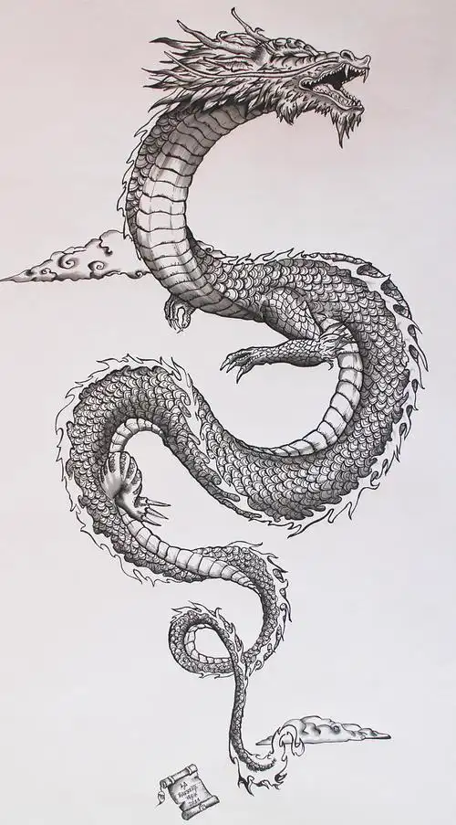 interpretationofthetraditionaljapanesedragon插画手绘素描龙