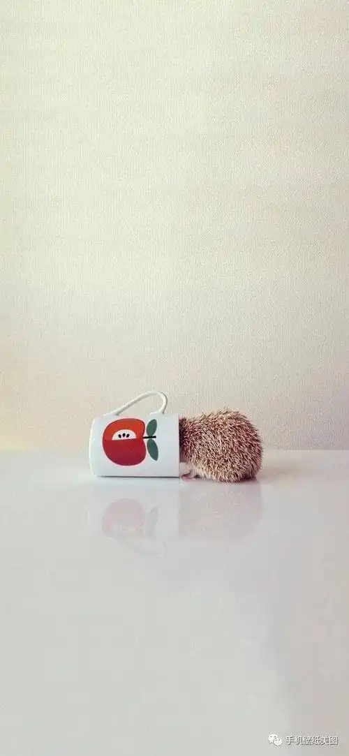 抖音最火的聊天背景图,2020抖音热门壁纸背景图