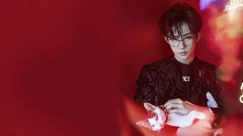 易烊千玺演唱会2019上海时间地点及售票指南