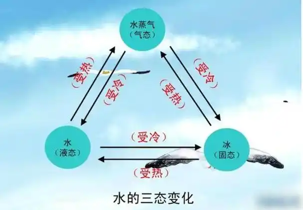 冬季窗户上的窗花(气态变固态),水变化的三种形态分别是固态(冰),液态