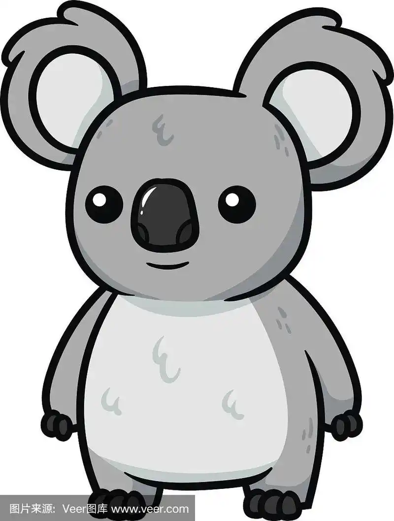树袋熊,绘画插图,卡通,矢量,有袋亚纲