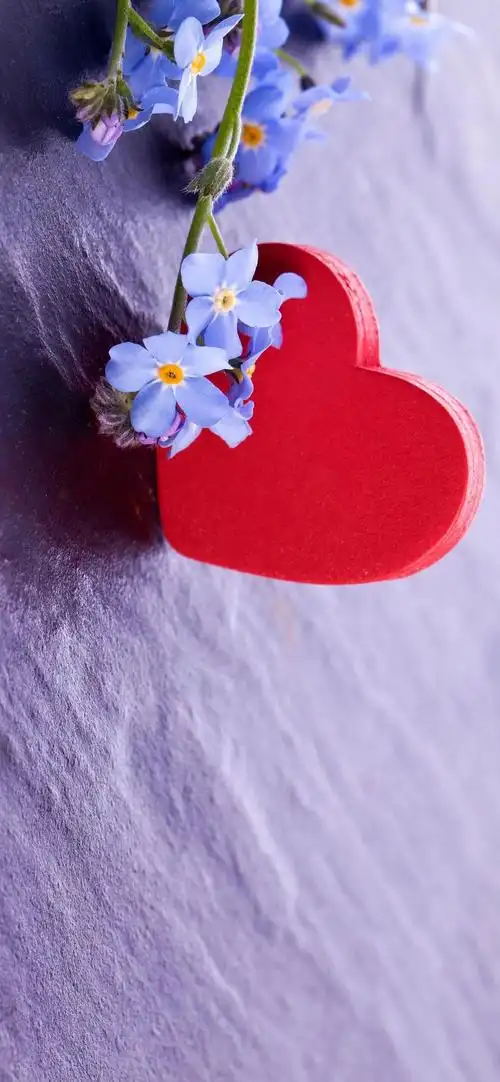 壁纸:各种唯美高清的爱心壁纸