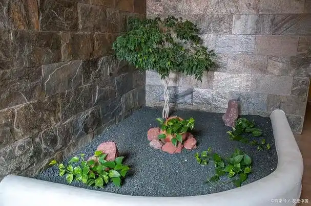 室内水景的设计与布置