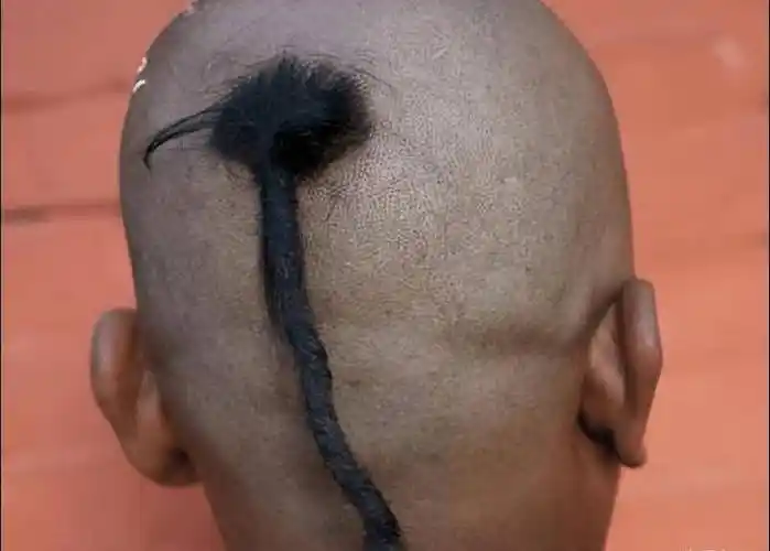 清朝的老鼠辫有多丑,看完让人难以接受_头发_汉人_男子