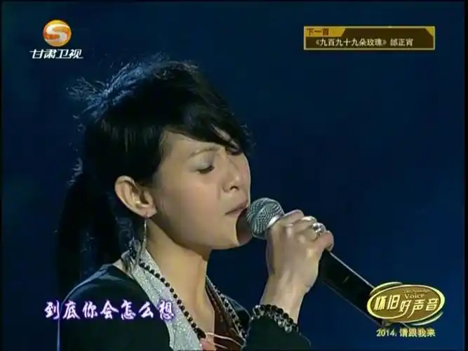 刘若英《为爱痴狂》怀旧好声音20140905