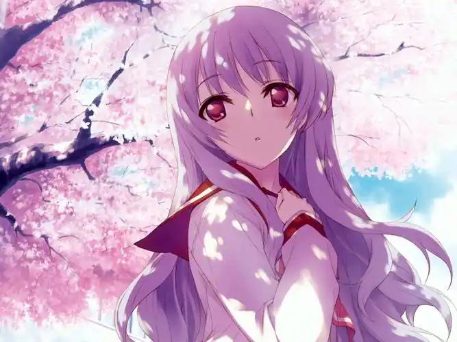 樱花树,春天,紫发少女,动漫少女,acg,动漫,少女系樱花树壁纸图片