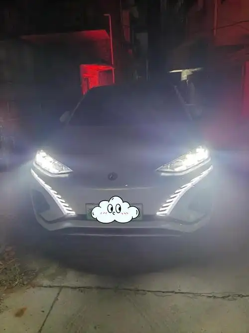 腾势n7两胡子帅的一,不接受反驳95