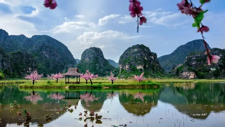 三生三世十里桃林