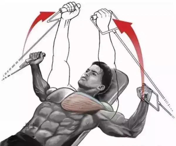 最全的胸肌训练动作,练胸有它就够了