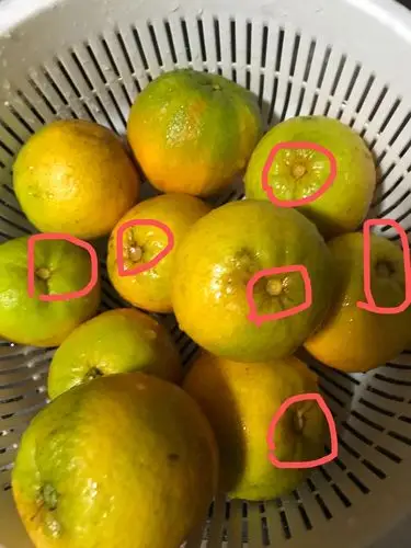 我们为您提供血橙橙子的优质评价,包括血橙橙子商品评价,晒单,百万