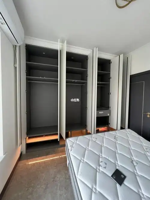 柜体极简的卧室衣柜