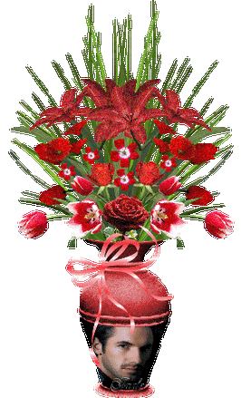 闪闪滴花瓶!【多图】 - 无为居士 - 无为斋