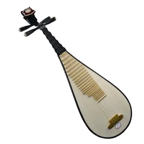 琵琶乐器初学者通用入门儿r成人琵琶民族乐器椿木色木厂家直销包