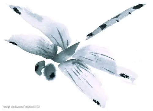 水墨风格的蜻蜓图片