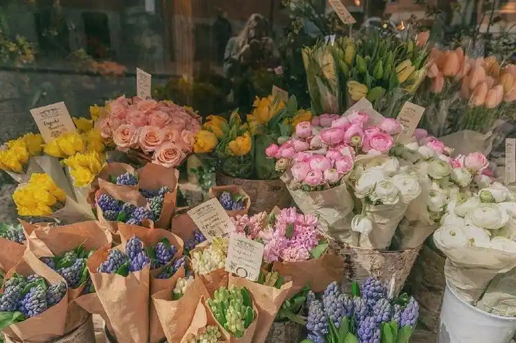 ins风 - 堆糖,美图壁纸兴趣社区