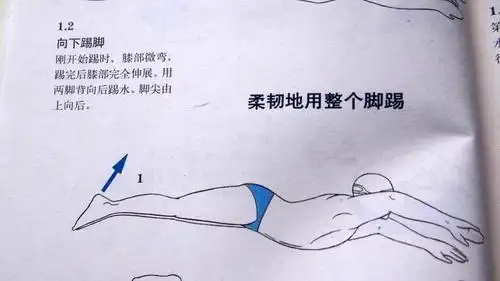 练蝶泳的同志请进,这里有蝶泳技术动作分解图,希望能助你进步