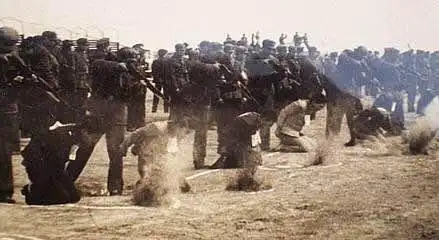 上世纪枪决犯人时,可以允许很多来围观,为何如今却不被允许了?