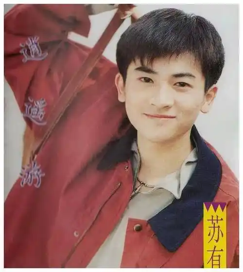 苏有朋:颜值与演技并存,不老男神的魅力所在,单身贵族之选!