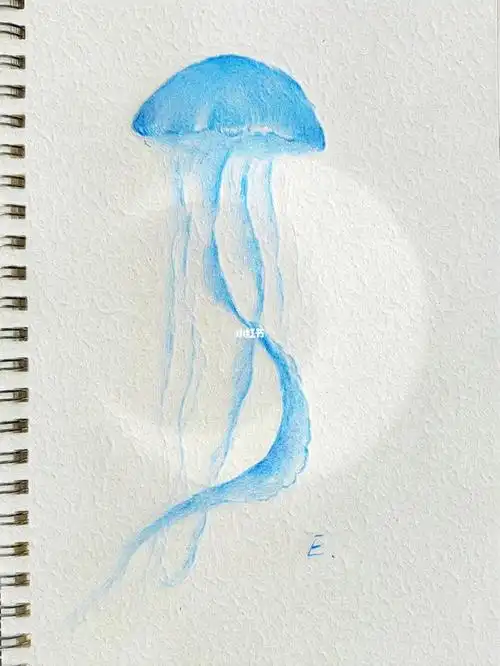 彩铅73两只铅笔就搞定的水母