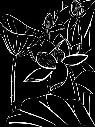 名归故里黑白荷花板绘原创绘画