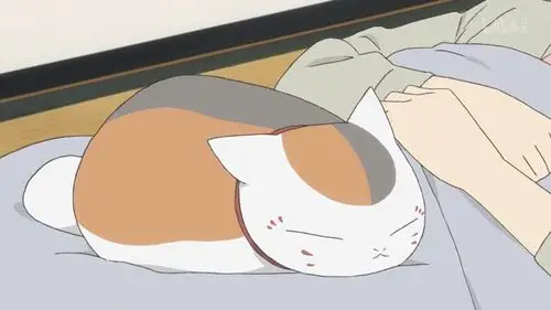 夏目友人帐 猫咪老师 娘口三三