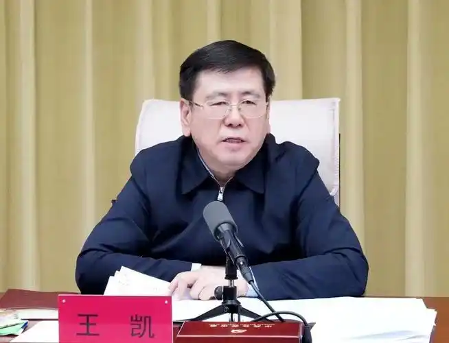 河南省第十三届人民代表大会第五次会议选举王凯为河南省人民政府省长