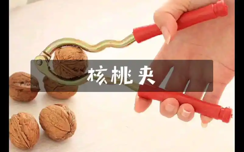 核桃夹心木的功效与作用(核桃夹心木:抗氧化,降血脂,美容养颜)