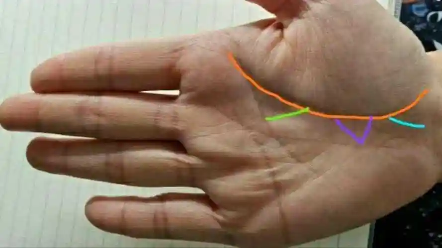 生命线出现分叉三角纹要注意了