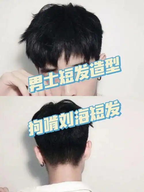 男士短发造型搭理狗啃刘海发型