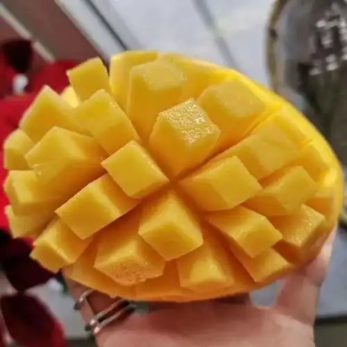 新鲜水果现摘礼盒装10斤海南三亚红玉芒玉文芒特大红芒果应季