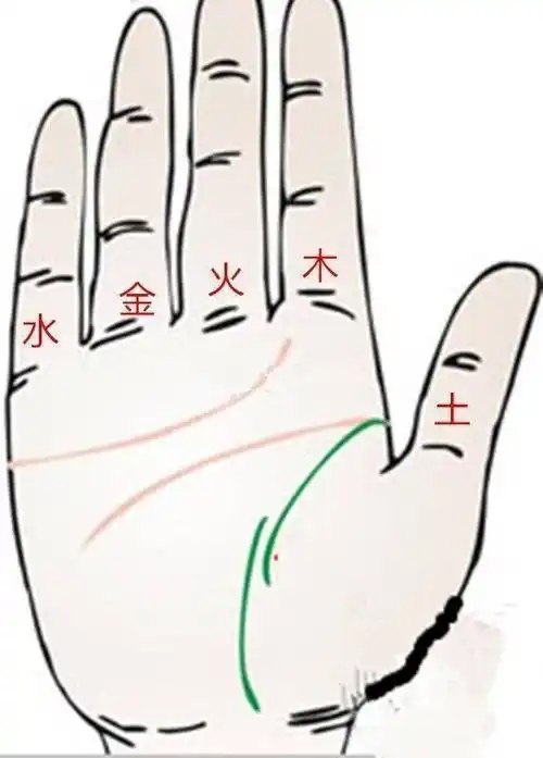 原创手相解析一眼定学业三纹定终身命运就在你手中