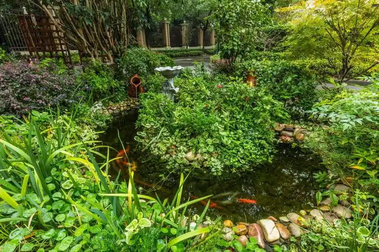 哪种水系景观适合你的庭院?