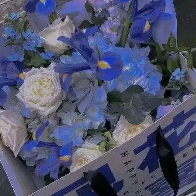 漂亮淡雅的背景图euphoria欢欣之意皆由你蓝色壁纸ins风治愈系风景