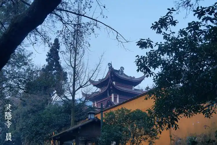 重游杭州,初踏西塘 - silvi叮 - silvi