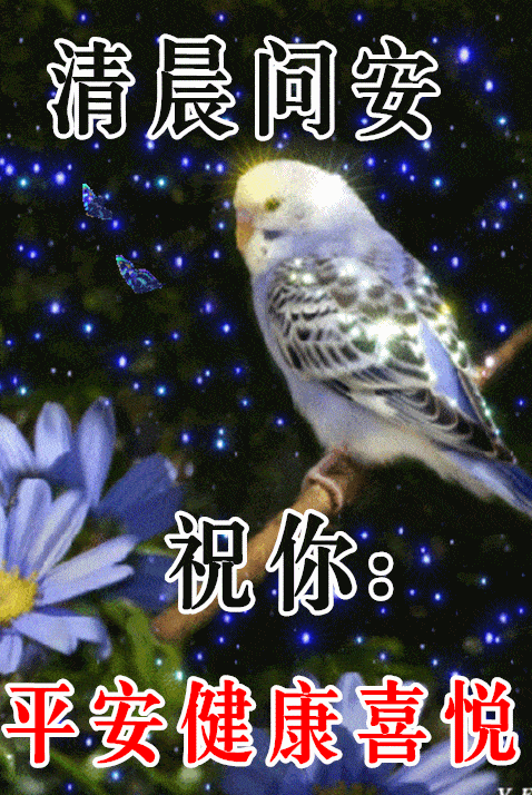 11月23日最漂亮早上好动态表情图片大全早晨好美图大全