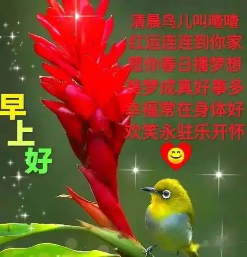最漂亮早上好动态表情图片大全,早上好动图美图大全_祝福_问候_朋友