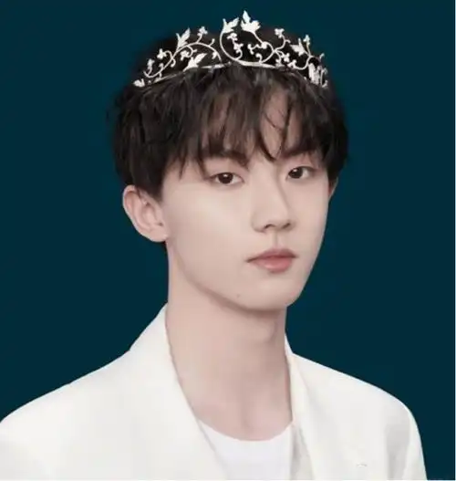 时代少年团戴皇冠刘耀文高冷宋亚轩温柔丁程鑫小王子既视感
