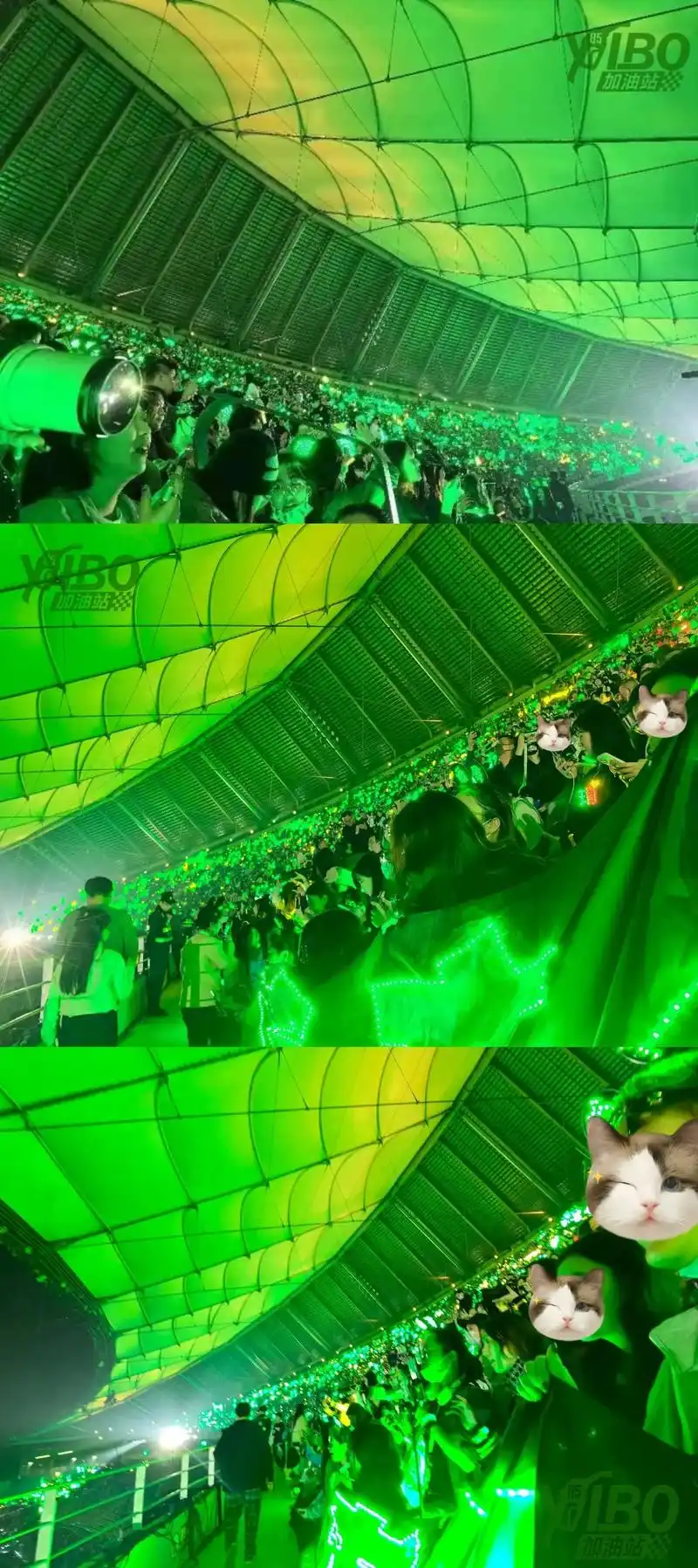 王一博绿海 王总专属香菜地98再也不用到处找灯牌啦98只要 - 抖