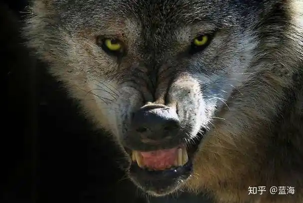 杀气名字_为官之道 杀气_两个杀气名字