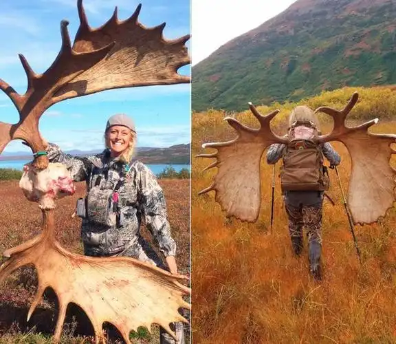 女子晒同伴猎杀驼鹿的照片引众怒被网友指责没人性