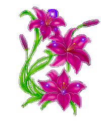 精美素材: 漂亮的透明背景gif动态花朵闪图【组图】