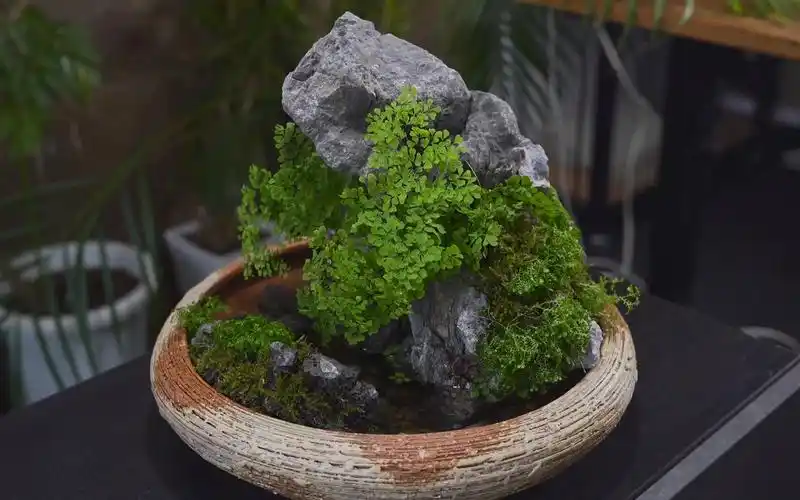 【微缩景观】制作假山流水 (有字幕)