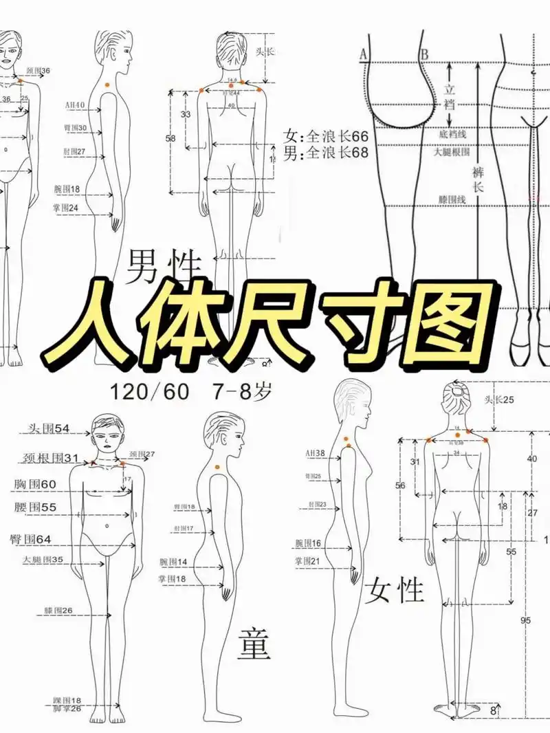 设计打版必备︱人体尺寸图 终于准备学打版了!