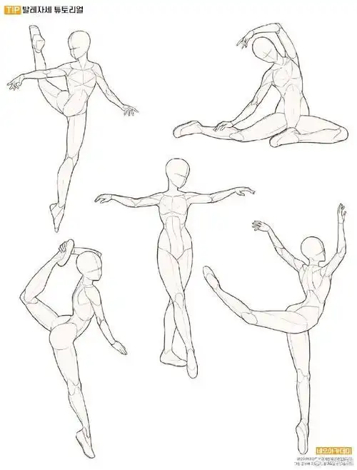 人体动态绘画参考 画师twi:neo_aca#最近画了什么##板绘##绘画素材