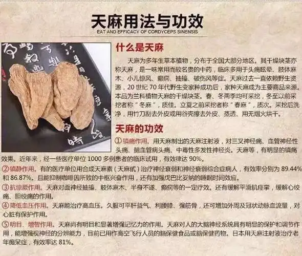 产地直销天麻 云南野生天麻营养滋补品 跑江湖地摊展会火爆产品