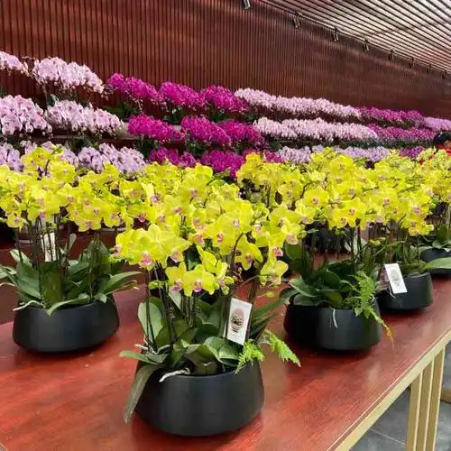 植物种类繁多,."-大众点评移动版