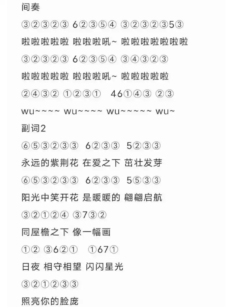 永远的紫荆花光遇琴谱