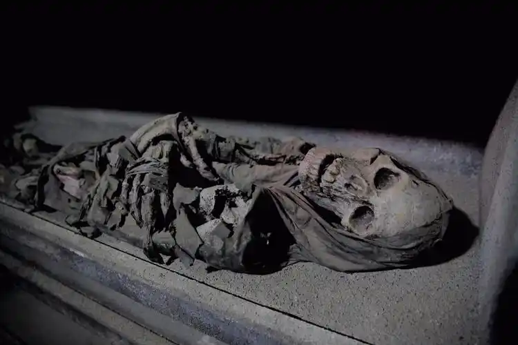 胆大最爱丨广州竟有这么恐怖血腥的地方真的没想到